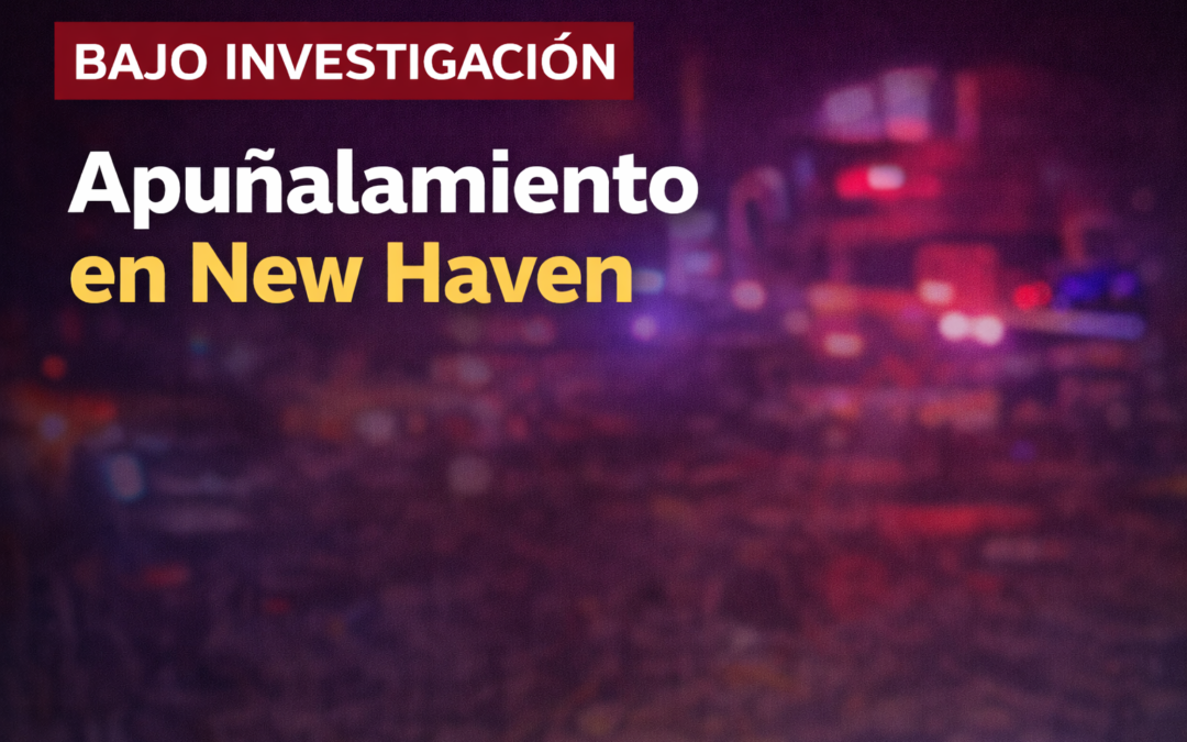 Investigan apuñalamiento en New Haven, Connecticut