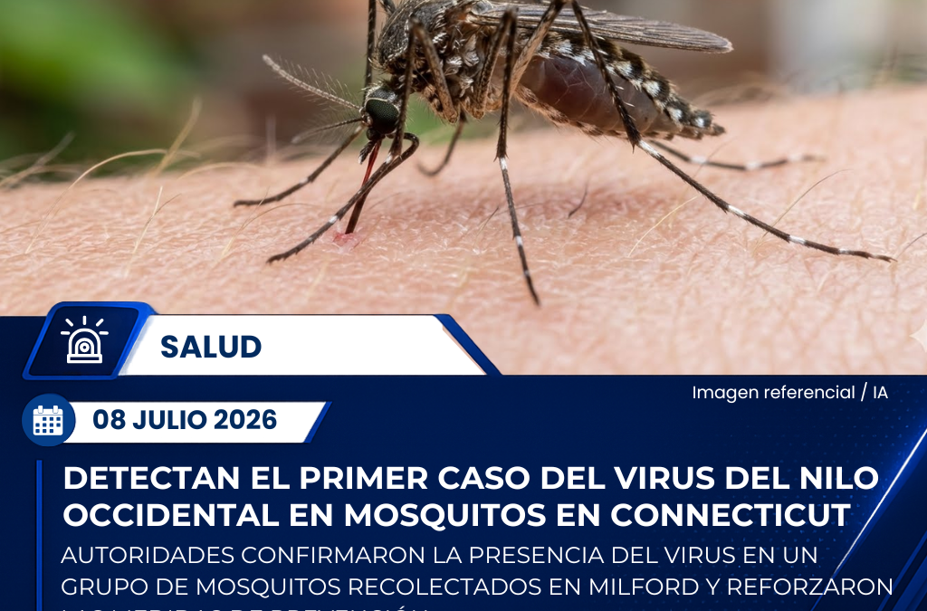 Confirman la primera detección del Virus del Nilo Occidental en mosquitos de Connecticut este año