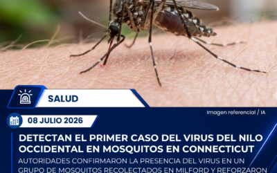 Confirman la primera detección del Virus del Nilo Occidental en mosquitos de Connecticut este año